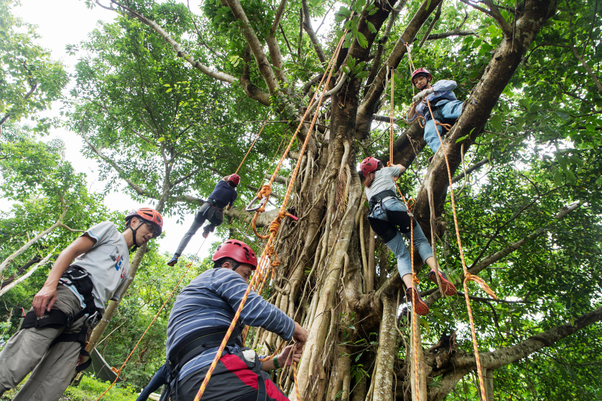 高山森林基地：走進布農獵人的療癒森林，找回自己的自然故事